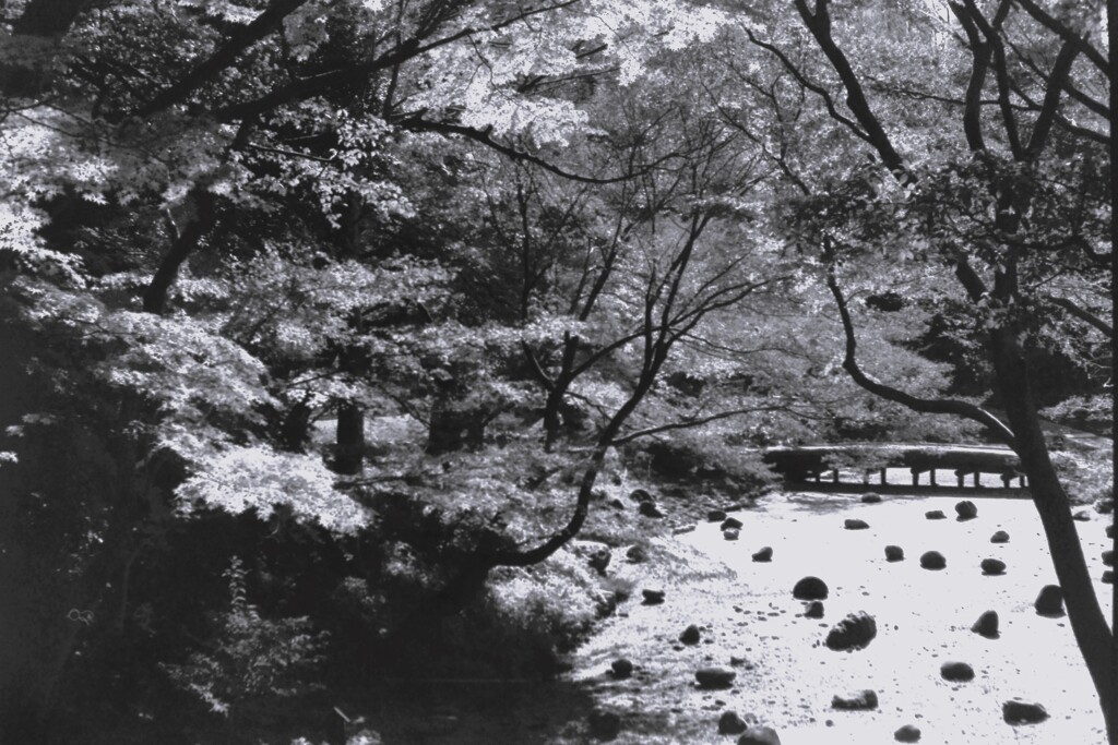 初冬の頃②・film