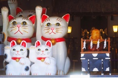 招き猫発祥の地