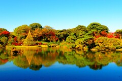晩秋の庭紅葉①