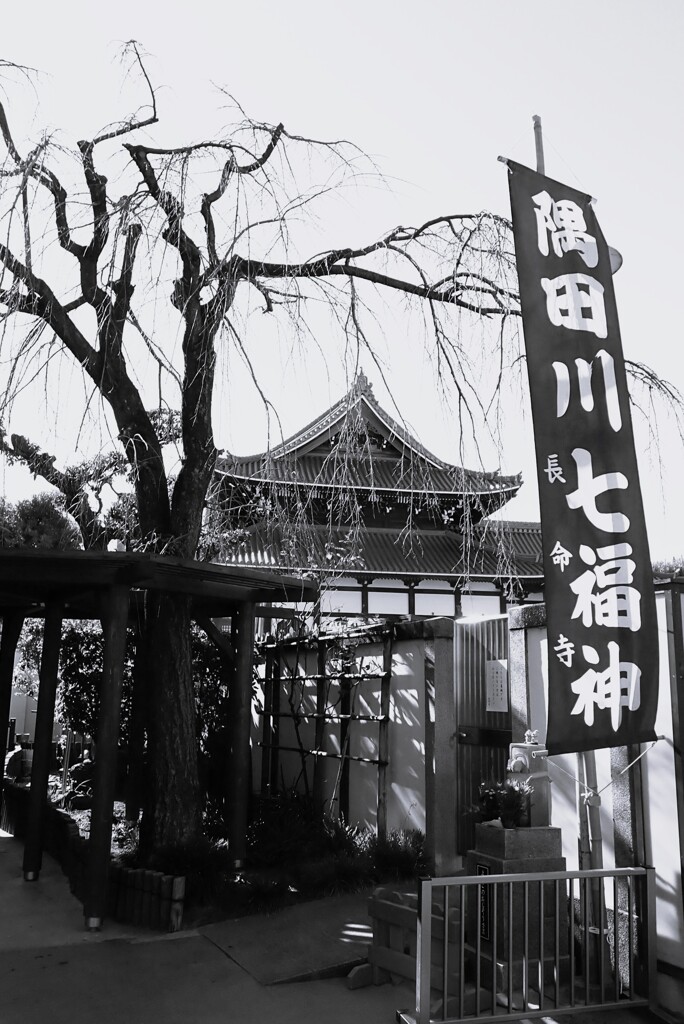 新春・七福神巡り⑤-3