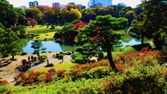 秋の庭園① 秋の庭園①