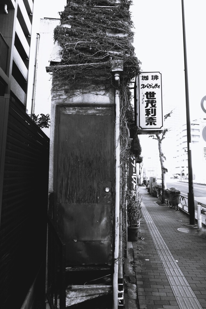 気になるカフェ