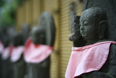 穏やかな横顔