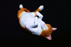ポーズ