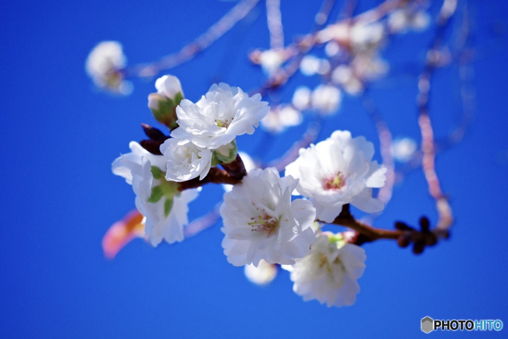 冬へのプロローグ