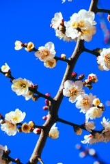 立春を迎える②-2