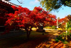 古刹の紅葉⑤