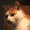 寝起き顔