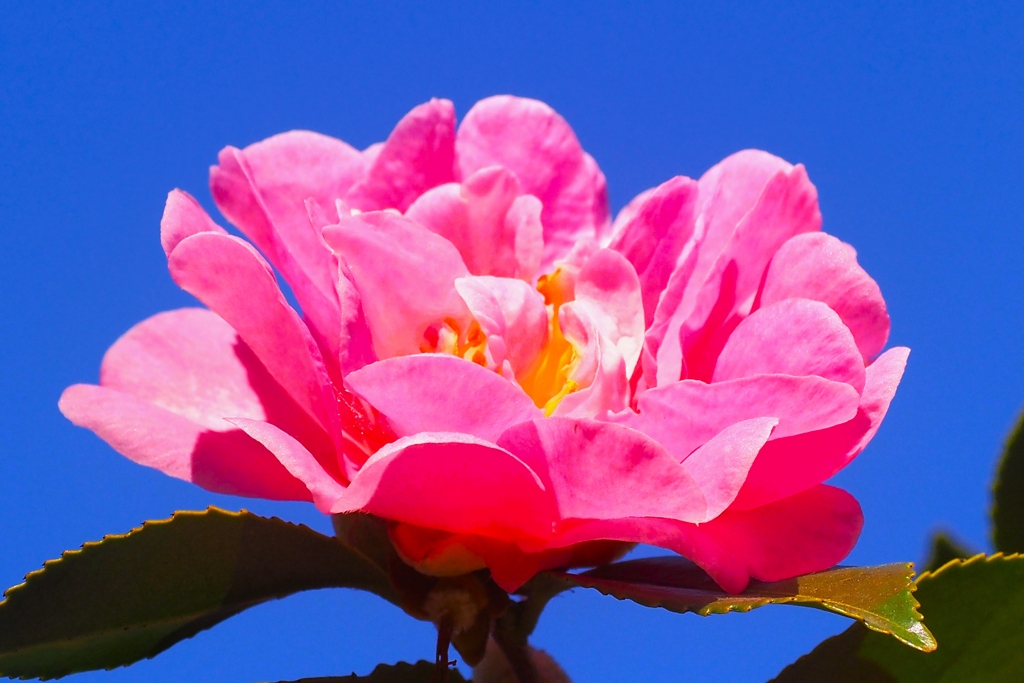 今日は「節分」、明日は「立春」