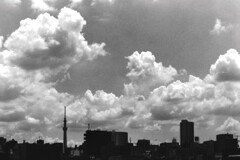 夏雲（フィルム）