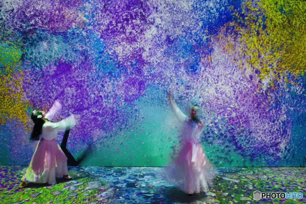 flowers by naked 2020 桜