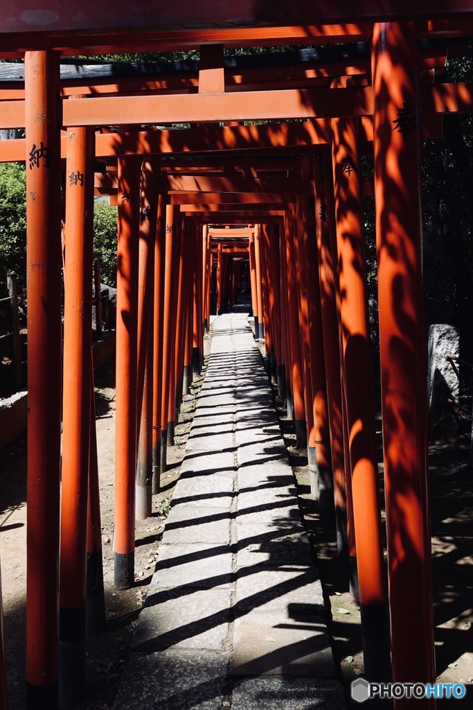 乙女稲荷神社　千本鳥居