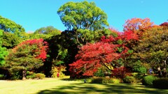 秋の庭園④-1 秋の庭園④-1