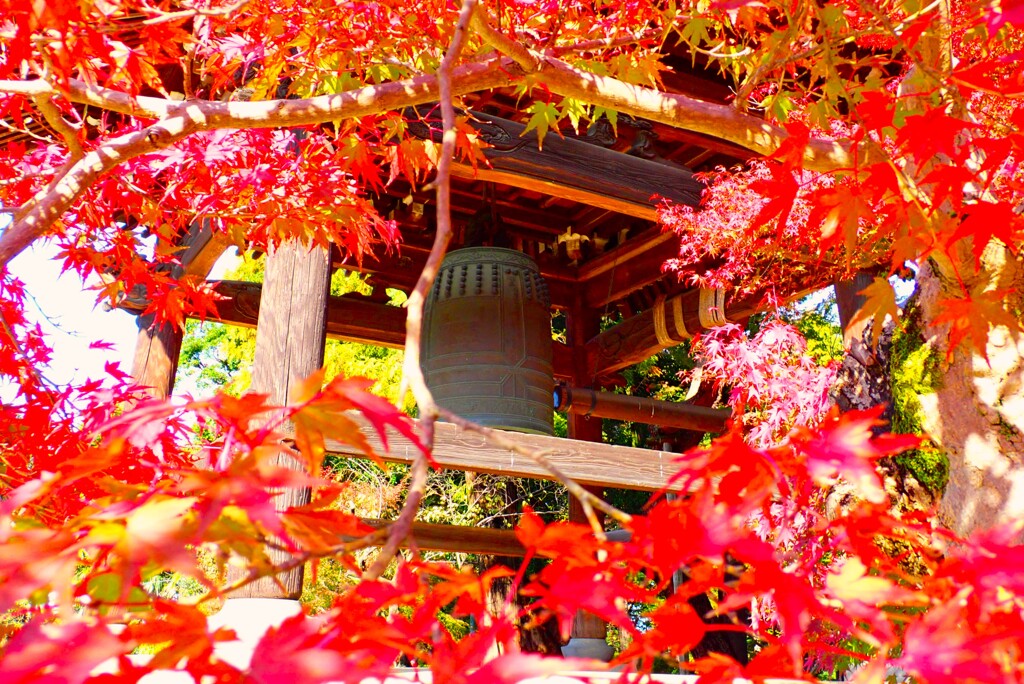 古刹の紅葉③