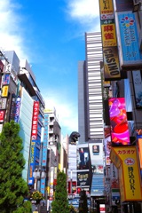 新宿・歌舞伎町界隈①-1