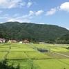 中平
