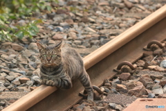 休憩中です