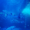 のとじま水族館
