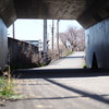 桜が咲いたらまた撮ろう