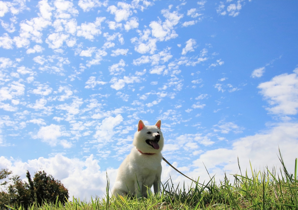 　すまいる　♪