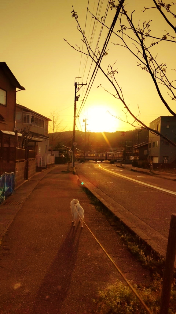 　朝が来る