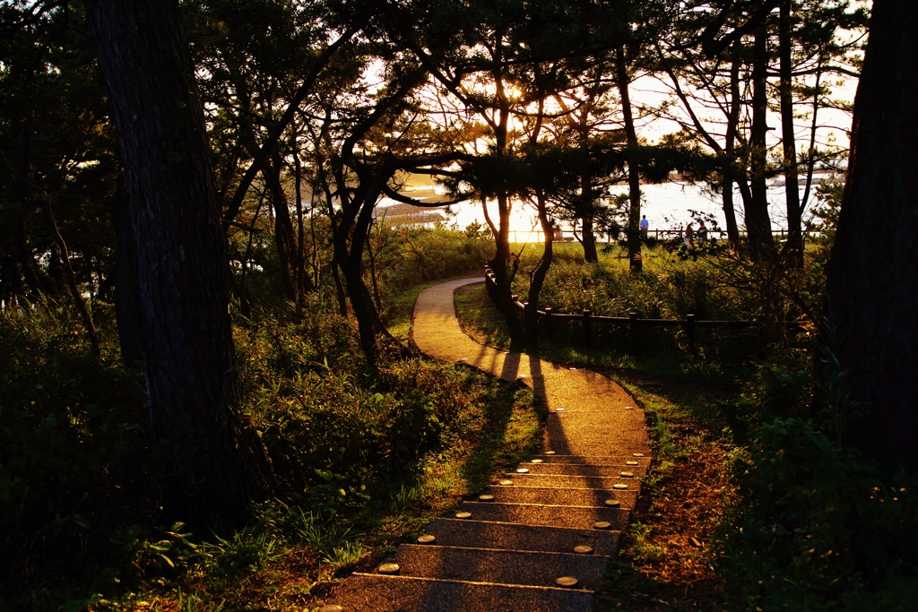 　夕日を追いかけて・・