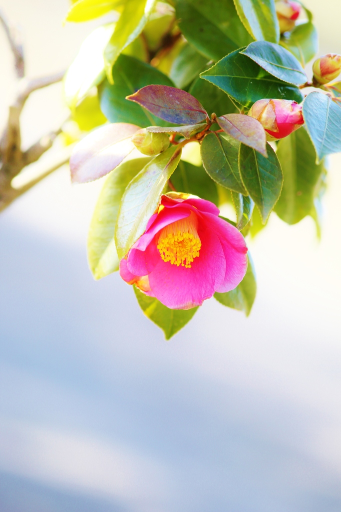 花時間