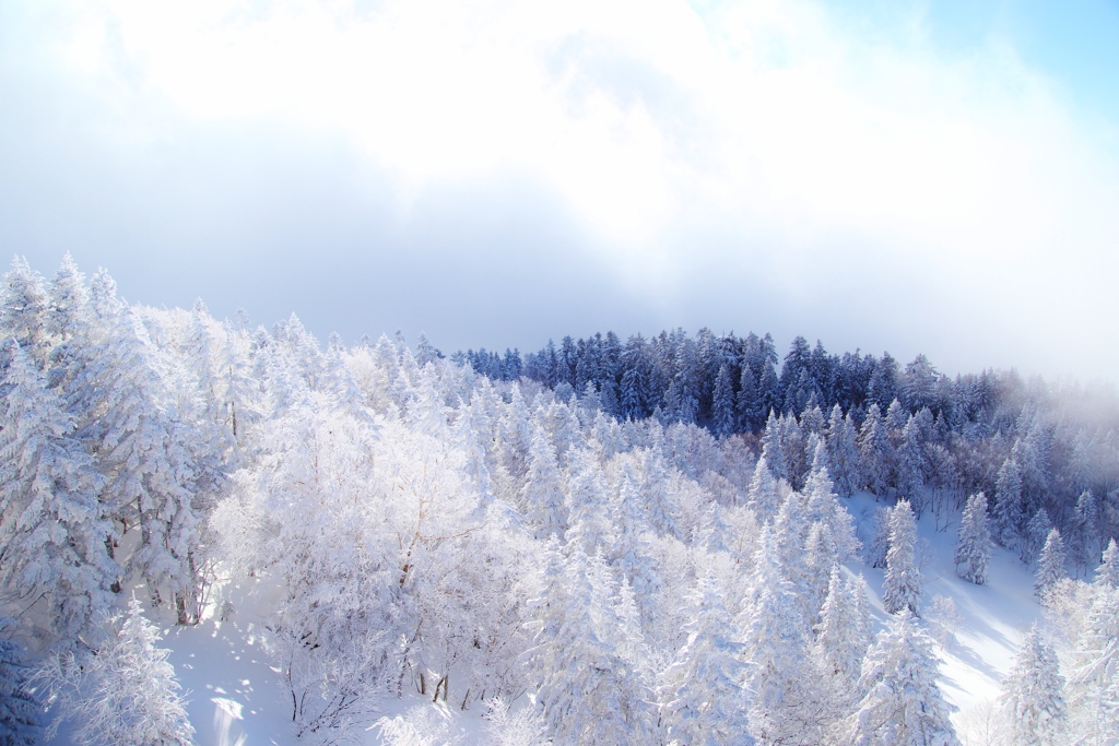 　雪の国