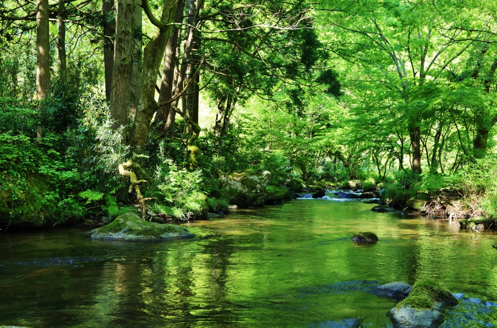 　お休みの風景