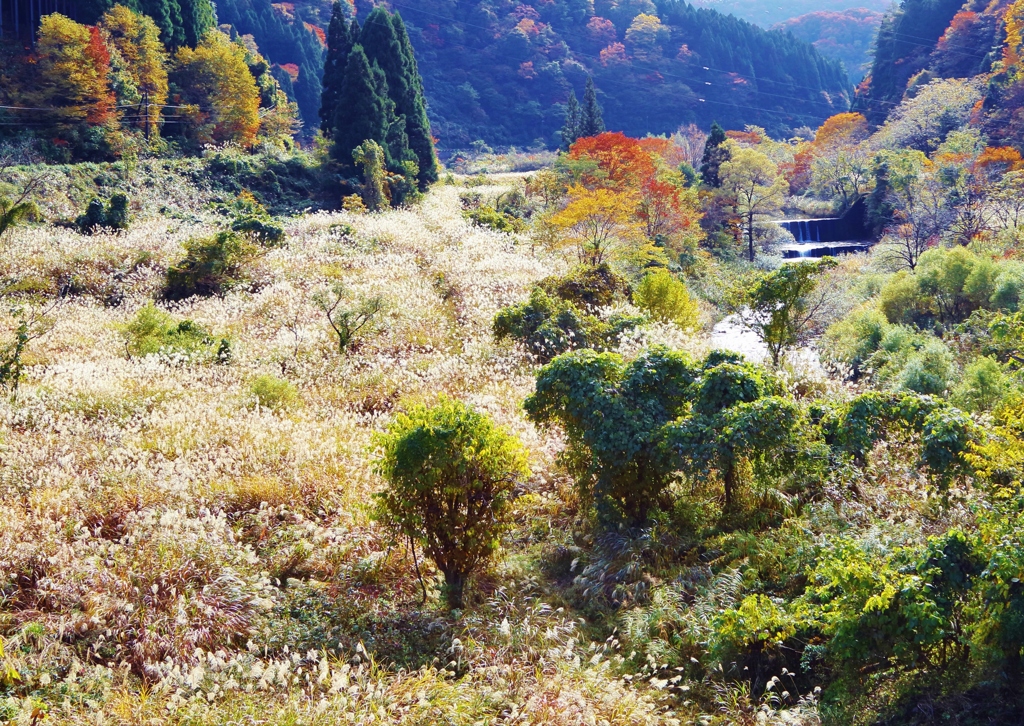 　地球を歩く　♪