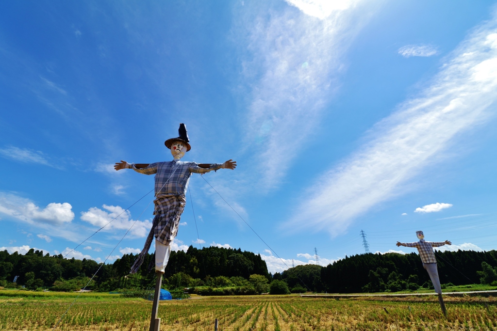 　本日は　晴天なり　ヽ(^o^)丿
