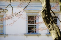 　春の窓