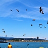 　海岸物語　♪