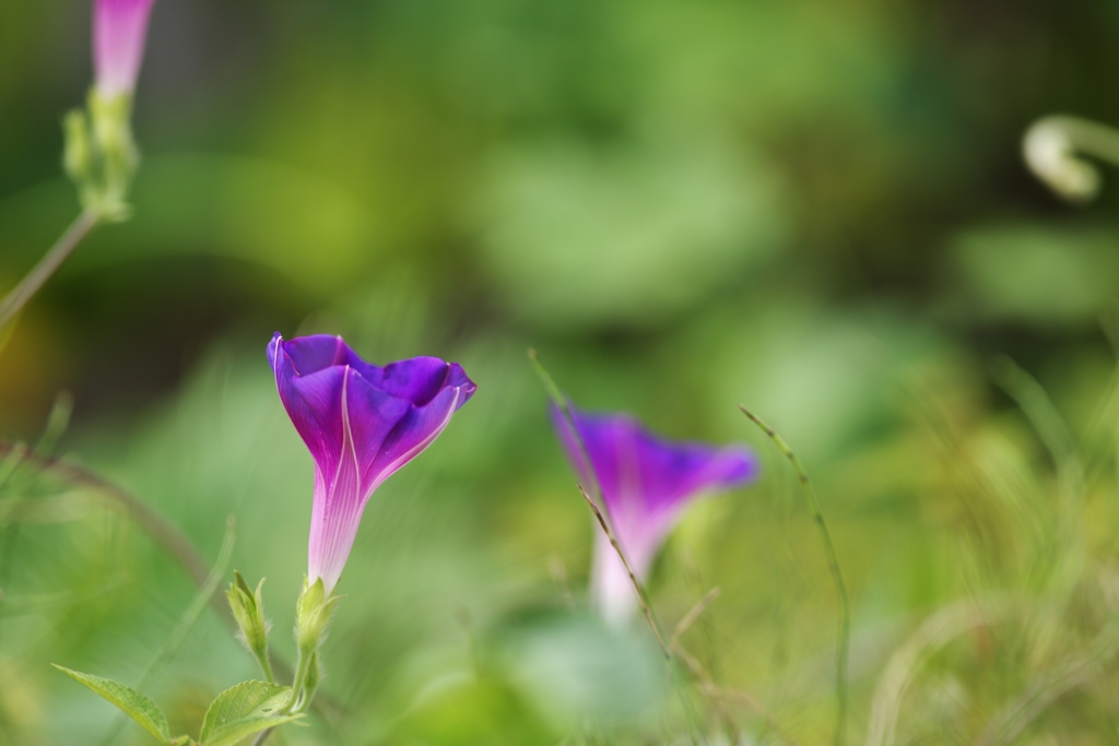 　 have a good day 　♪