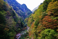 　溪谷の秋