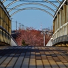 　歩道橋の上から