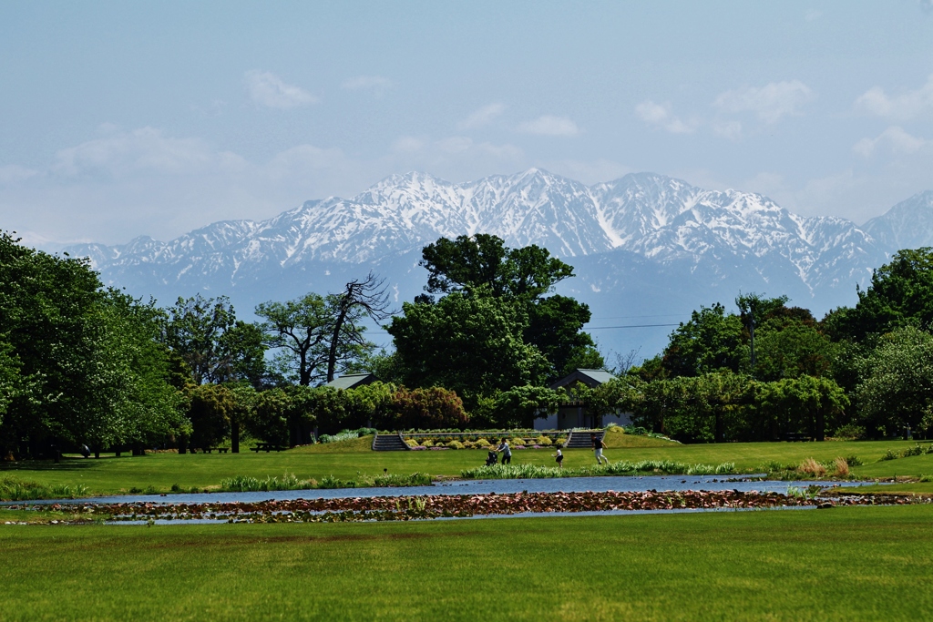 　富山中央植物園