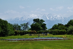 　富山中央植物園