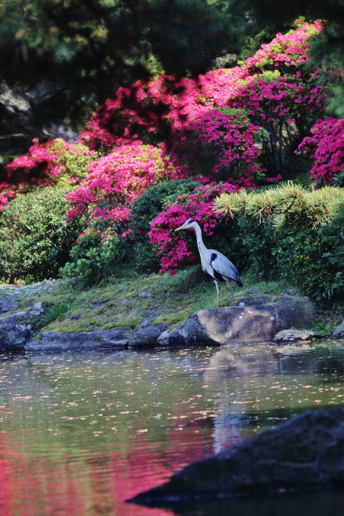 　春ごこち