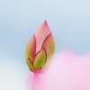 　まあ～だだよ～