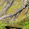 　春　