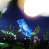 　終わらない夏