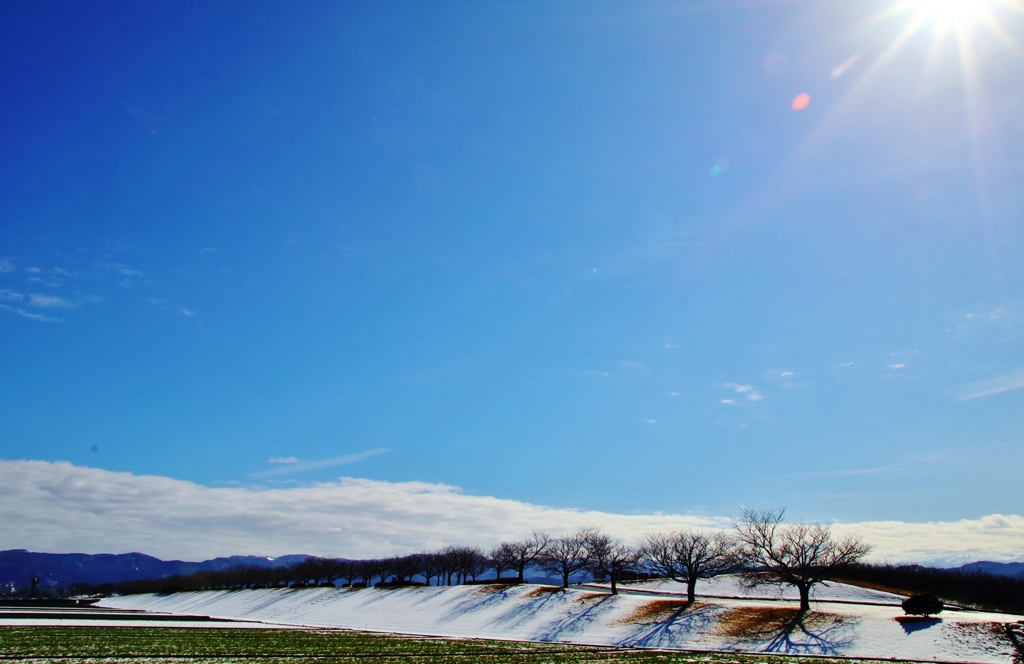 　忘れ雪