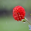 　rain　2