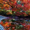 　Japanesque