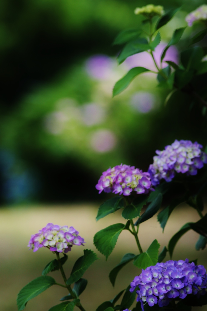  片隅で・・