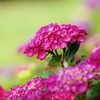 　君に　あいたくて・・