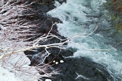 　冬の川