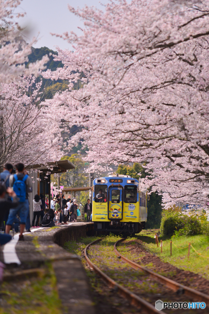 桜トンネルの駅