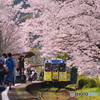 桜トンネルの駅